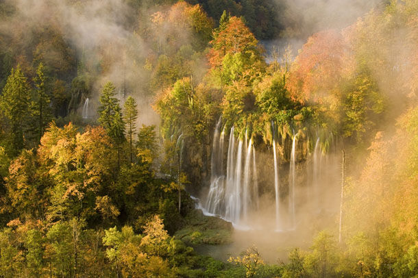 wildlife photographer of the year