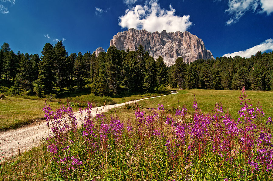 dolomiti landscapes