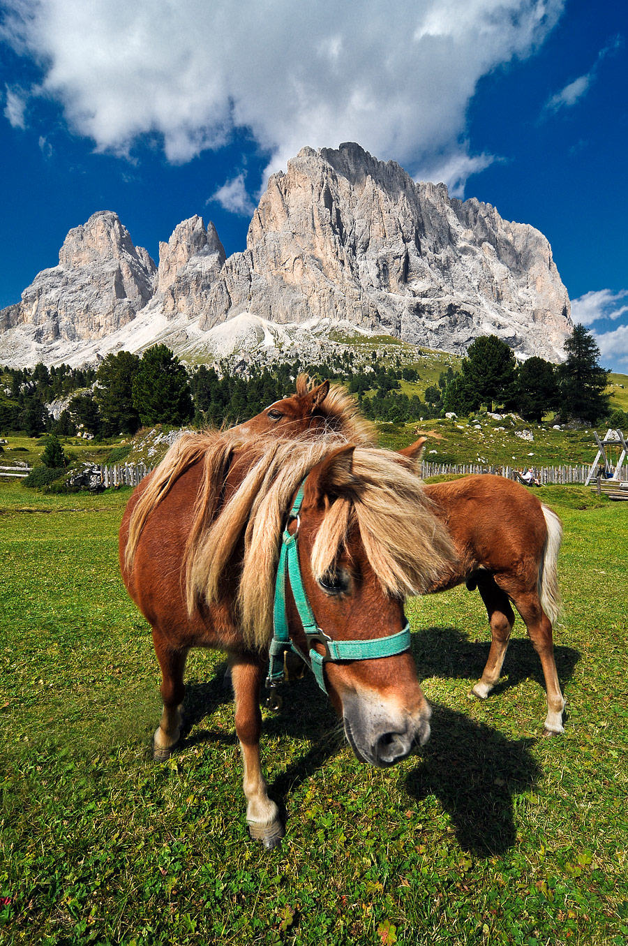 dolomiti landscapes