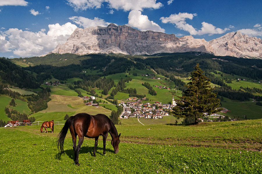 dolomiti landscapes